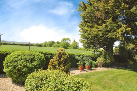 View from garden.JPG