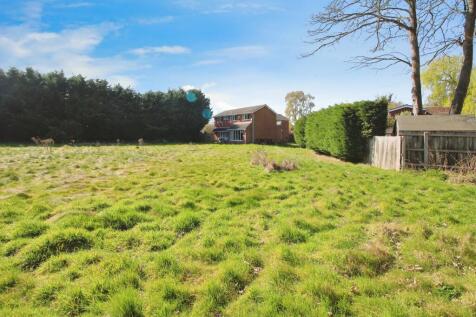 Rear garden.JPG