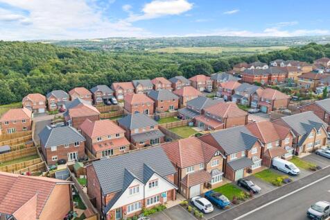 Aerial Street View