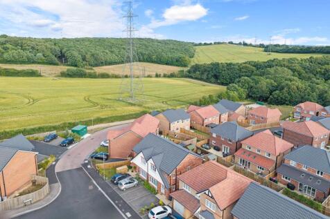 Aerial Street View