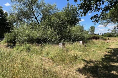 Meadow