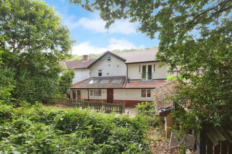 Rear of property
