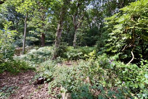 Woodland garden