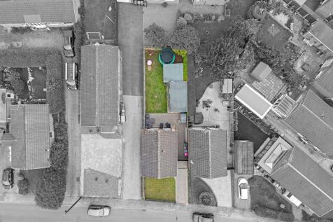 Plot View