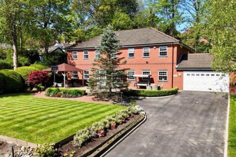 Property Image 39