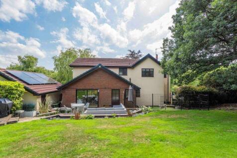 Property Image 43