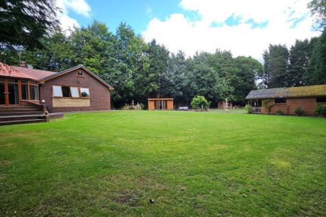 Property Image 54