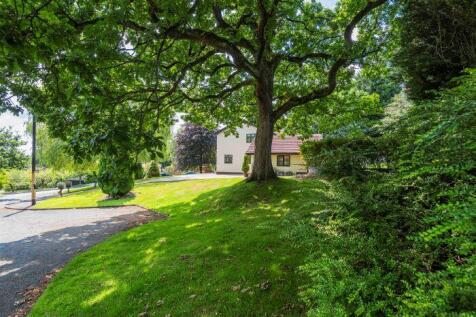 Property Image 45