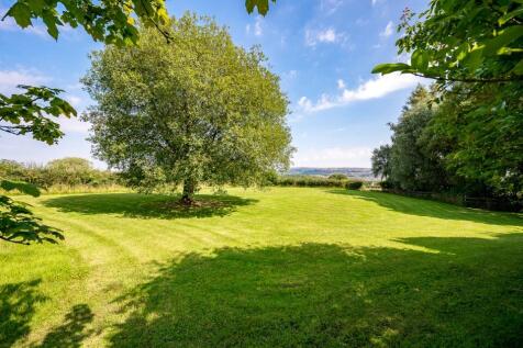 Property Image 43