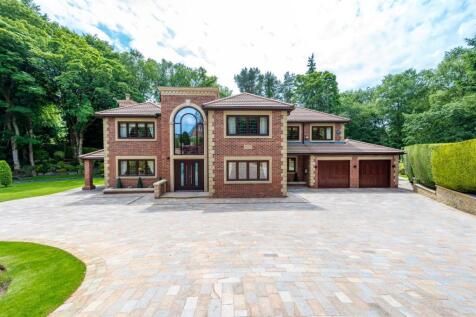 Property Image 39