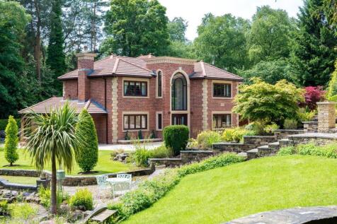 Property Image 40