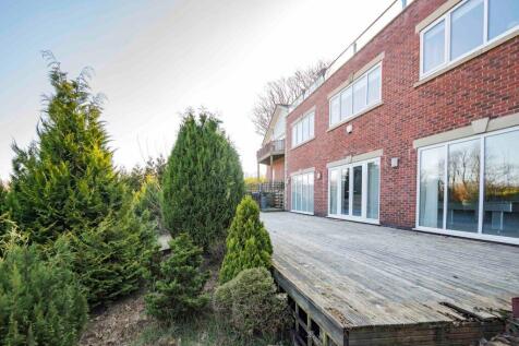 Property Image 41