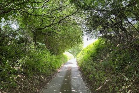 Lane photos.jpg