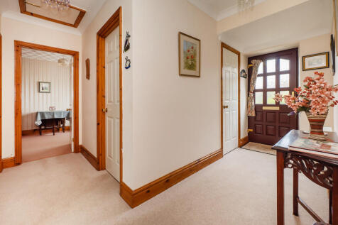 16KestrelClose-10
