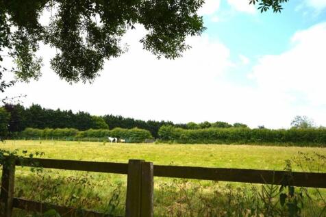 Paddocks at rear