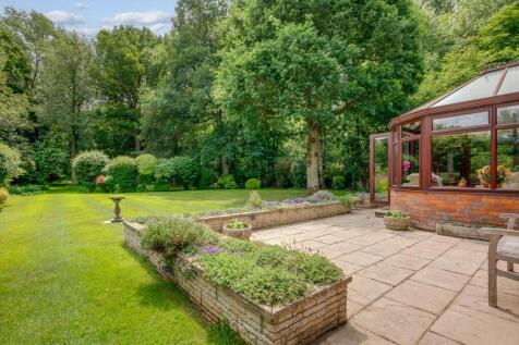 Patio and Garden