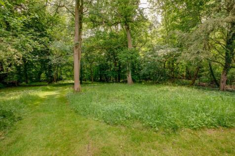Woods at Rear