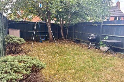 Back Garden