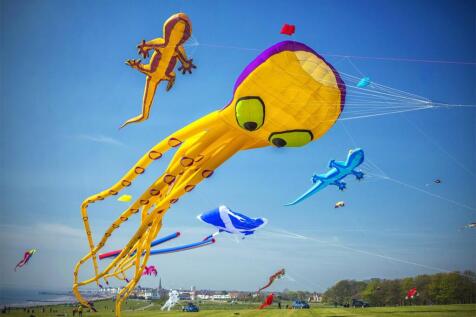 Kite Festival