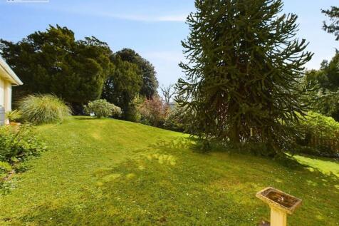 Front Garden .1.jpg