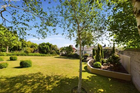 Rear garden iii.jpg
