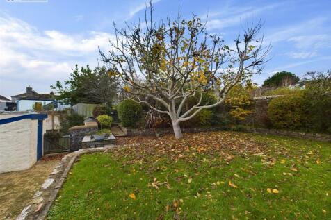 Rear garden vi.jpg