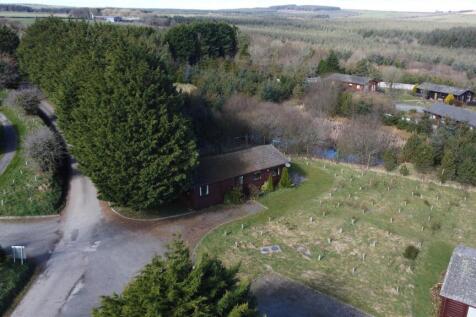 DJI_0351.JPG