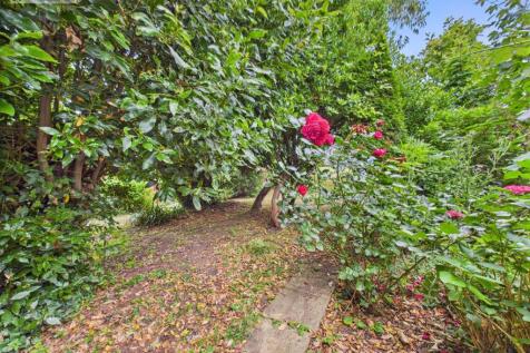 Garden iii.jpg
