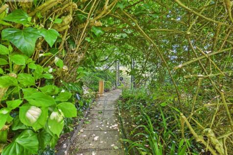 Garden iii.jpg