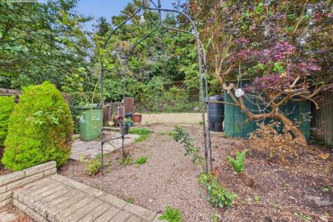 garden .3.jpg