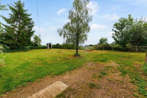 Garden (3)