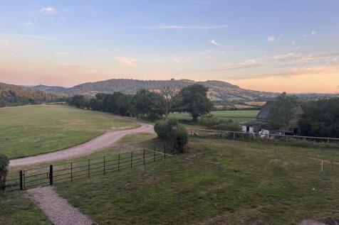 Evening view