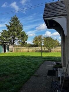 Back Garden (2)