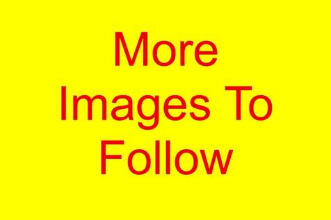 More Images To Follow