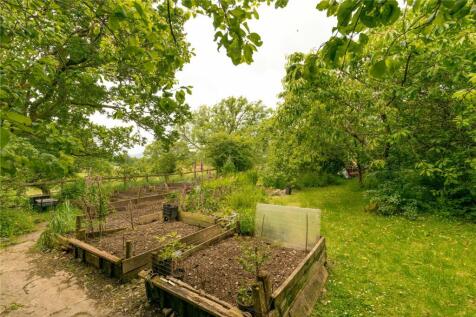 Vegetable Garden