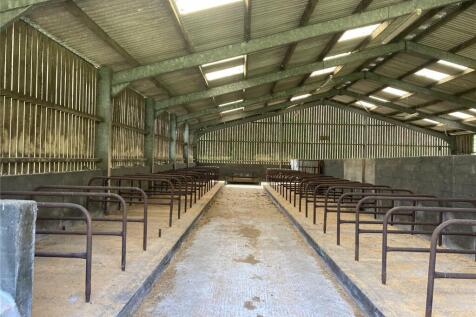 Shed Internal