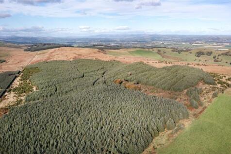 Forestry