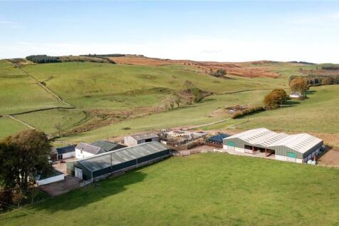 Steading