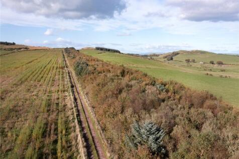 Willow Access Road