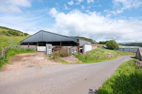 Cattle Court