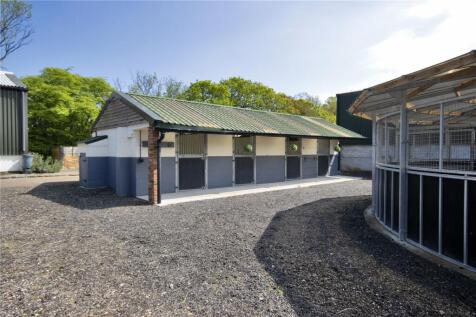 External Yard