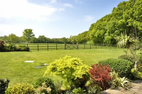 View From Garden