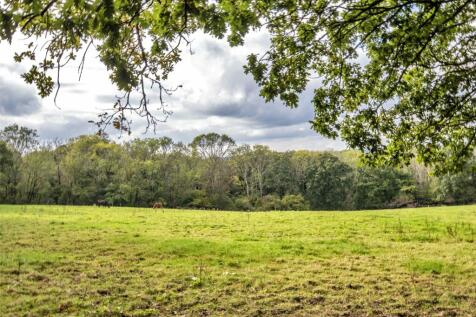 Pasture