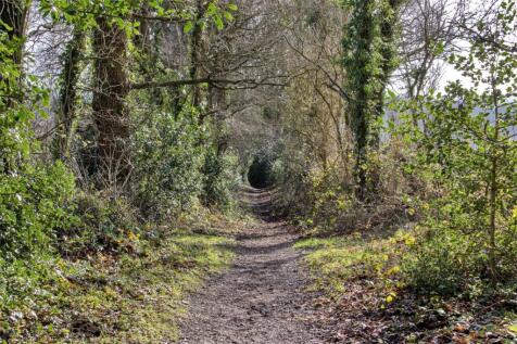 Path