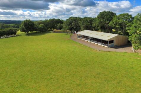Barn and Bull Pens