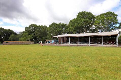 Barn and Bull Pens