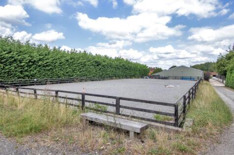 Outdoor Arena