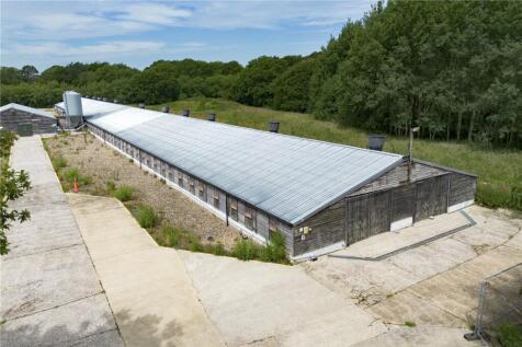 Timber Shed