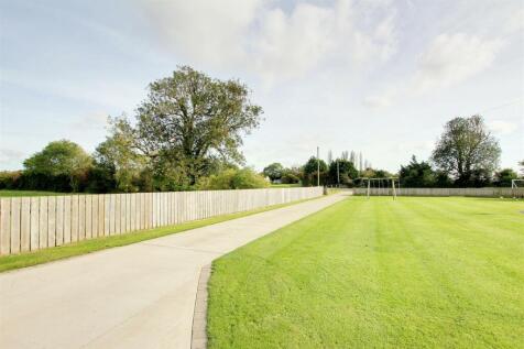 Garden and Driveway