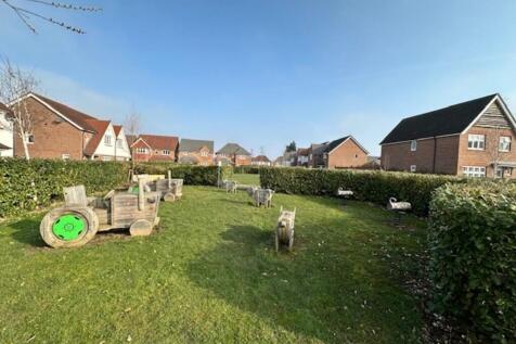 general common ar...